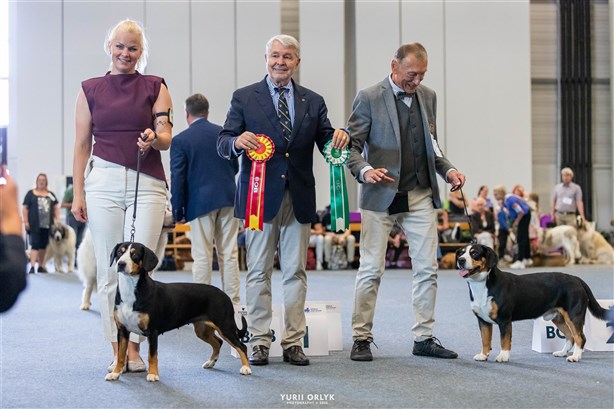 WORLD WINNER 2025 BEST OF BREED