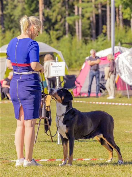 Fotograf: Linn Nordin